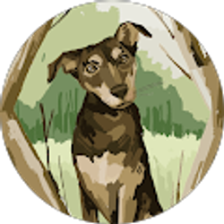 Profile photo of Rocío