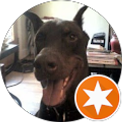 Profile photo of Shirley Singleton