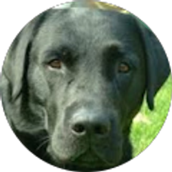 Profile photo of Monique S