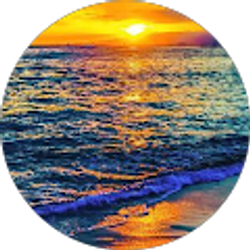 Profile photo of K. Lovall