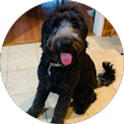 Profile photo of Kimber Morrison