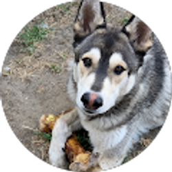 Profile photo of Gabriel Franco