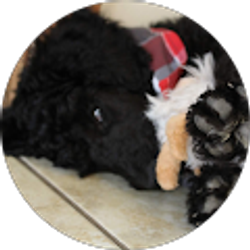 Profile photo of Braydon Bower