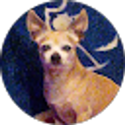 Profile photo of Jerry Insley
