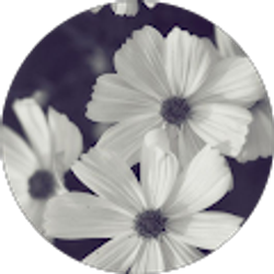 Profile photo of Breanna Valencia