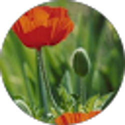 Profile photo of Cathy Hart