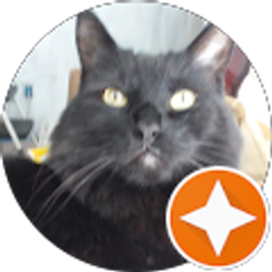 Profile photo of Christine Grimm