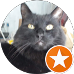 Profile photo of Christine Grimm