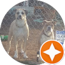 Profile photo of veronica ybarra