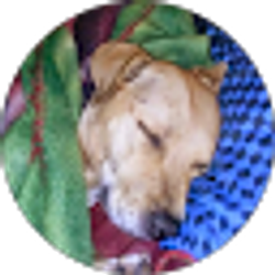 Profile photo of Tobi Tirado