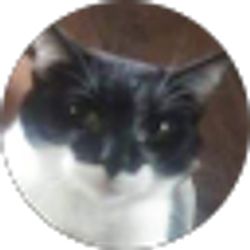 Profile photo of Sandra Johnson