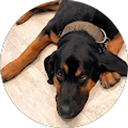 Profile photo of Cray Stephenson