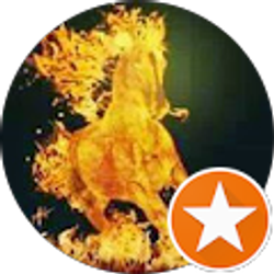 Profile photo of Lj Shoes