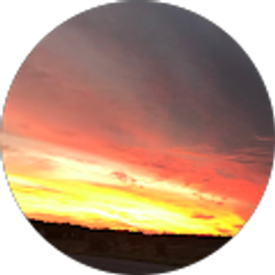 Profile photo of Lori H