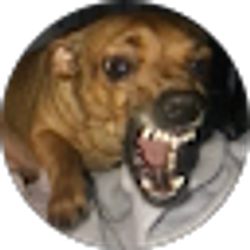 Profile photo of Kevin Meza