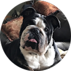 Profile photo of Dorsey Lay