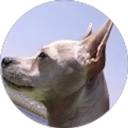 Profile photo of Juan