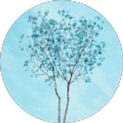 Profile photo of Allison Galindo