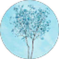 Profile photo of Allison Galindo