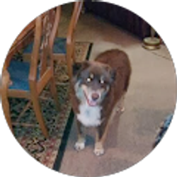 Profile photo of Michael Hall