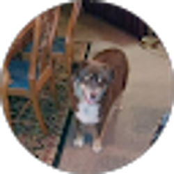 Profile photo of Michael Hall