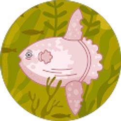 Profile photo of Amber Allen