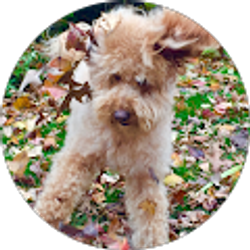 Profile photo of Elizabeth Brinker