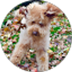 Profile photo of Elizabeth Brinker