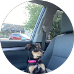 Profile photo of Loc D Van