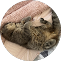 Profile photo of Anastasiia S.