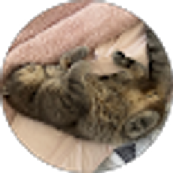 Profile photo of Anastasiia S.