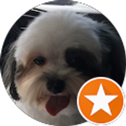 Profile photo of Evelyn Tollens