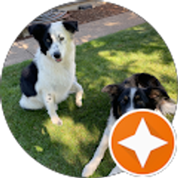 Profile photo of Rich Wright