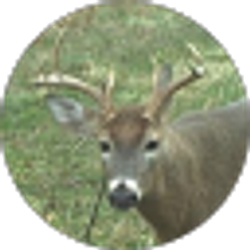 Profile photo of Isaac !!