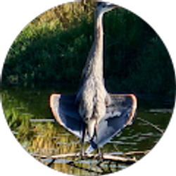 Profile photo of Linda Bainbridge