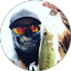 Profile photo of David Yang