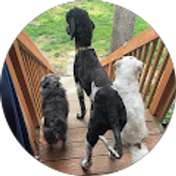 Profile photo of Brianna Aranyos