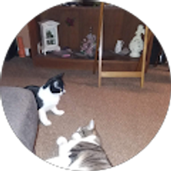 Profile photo of ksrarden Rarden (Sweetie)