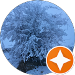 Profile photo of Erika Arslan