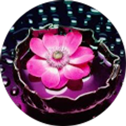 Profile photo of Kathy Carter