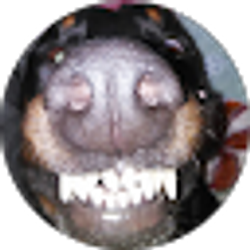Profile photo of Mark Varela