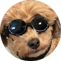 Profile photo of Sydney Rutledge