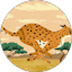 Profile photo of Abshir Ahmed