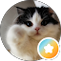 Profile photo of Gaven Sietsema