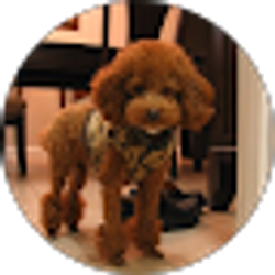 Profile photo of Mo Chi