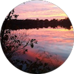 Profile photo of Alana Bailey