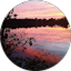 Profile photo of Alana Bailey
