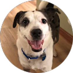 Profile photo of Lisa Rothschild