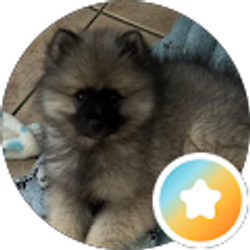 Profile photo of Kayla Berg