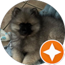 Profile photo of Kayla Berg